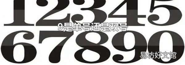 9是单号还是双号