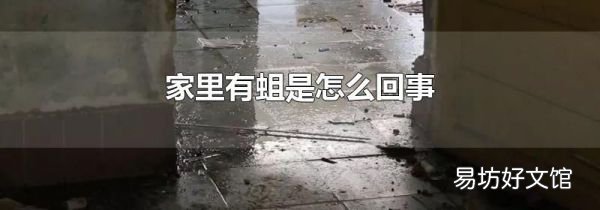家里有蛆是怎么回事