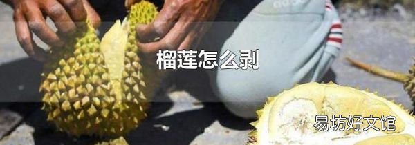 榴莲怎么剥