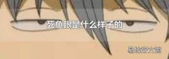 死鱼眼是什么样子的