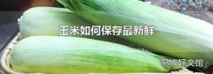 玉米如何保存最新鲜