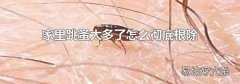 家里跳蚤太多了怎么彻底根除