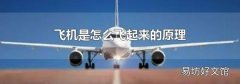 飞机是怎么飞起来的原理