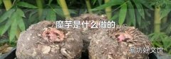 魔芋是什么做的