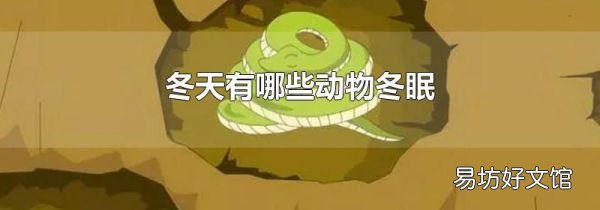 冬天有哪些动物冬眠