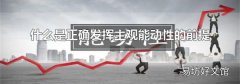 什么是正确发挥主观能动性的前提