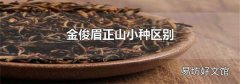 金俊眉正山小种区别
