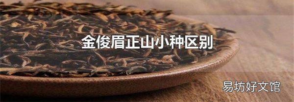 金俊眉正山小种区别