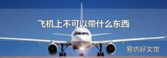 飞机上不可以带什么东西