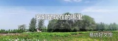 安邱是现在的哪里