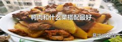 鸭肉和什么菜搭配最好
