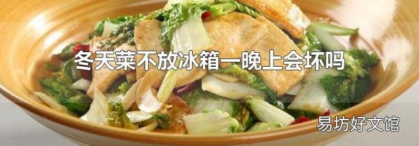 冬天菜不放冰箱一晚上会坏吗