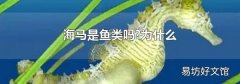 海马是鱼类吗?为什么