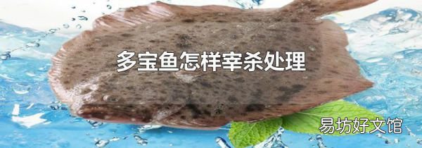 多宝鱼怎样宰杀处理