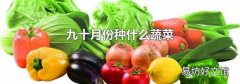 九十月份种什么蔬菜