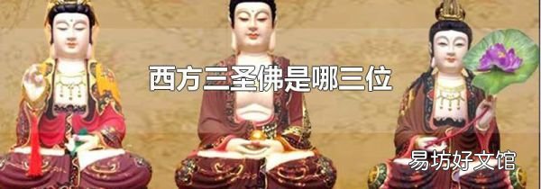西方三圣佛是哪三位