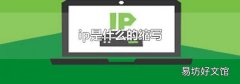 ip是什么的缩写