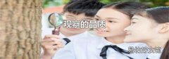 观察的品质
