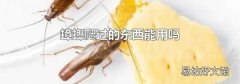 蟑螂爬过的东西能用吗