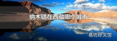 纳木错在西藏哪个城市