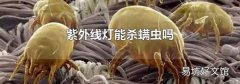 紫外线灯能杀螨虫吗