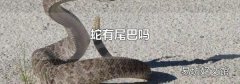 蛇有尾巴吗