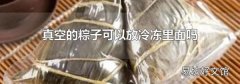真空的粽子可以放冷冻里面吗