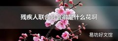 残疾人联合会会徽是什么花啊