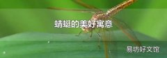 蜻蜓的美好寓意