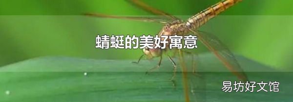 蜻蜓的美好寓意