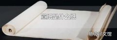 宣纸是什么纸