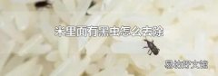 米里面有黑虫怎么去除