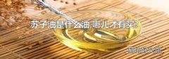 苏子油是什么油,哪儿才有买?