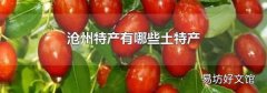 沧州特产有哪些土特产