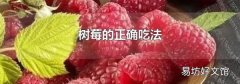 树莓的正确吃法
