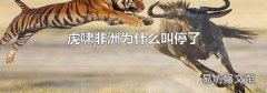 虎啸非洲为什么叫停了