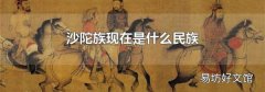 沙陀族现在是什么民族
