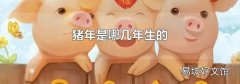 猪年是哪几年生的
