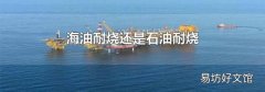 海油耐烧还是石油耐烧