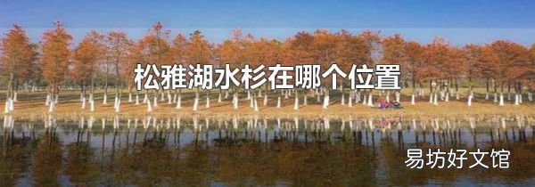 松雅湖水杉在哪个位置