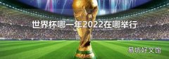 世界杯哪一年2022在哪举行
