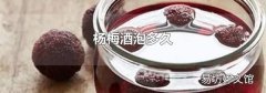 杨梅酒泡多久