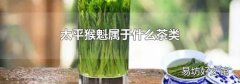 太平猴魁属于什么茶类