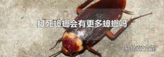 打死蟑螂会有更多蟑螂吗