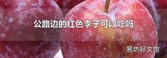 公路边的红色李子可以吃吗
