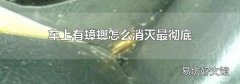 车上有蟑螂怎么消灭最彻底