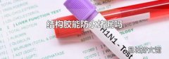 结构胶能防水堵漏吗
