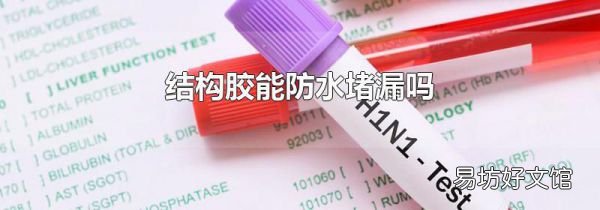 结构胶能防水堵漏吗