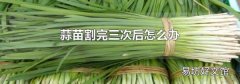 蒜苗割完三次后怎么办