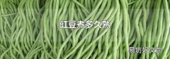 豇豆煮多久熟
